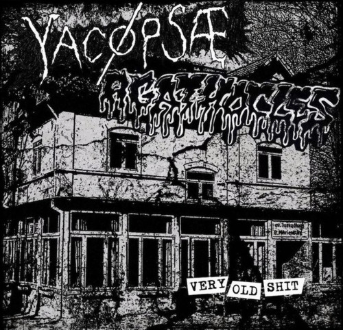 Agathocles yacøpsæ very old - agathocles/yacøpsæ,